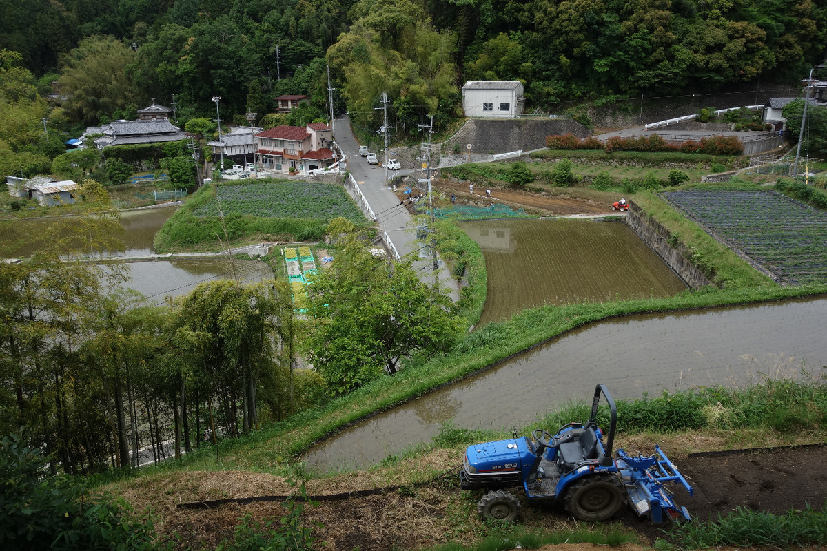 f:id:nonoty32a:20190624130416j:plain