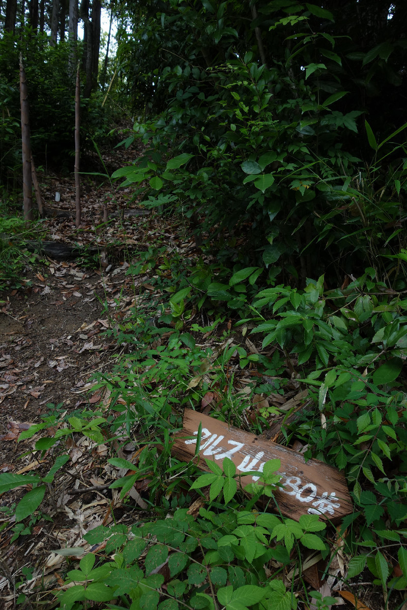 f:id:nonoty32a:20190624130505j:plain