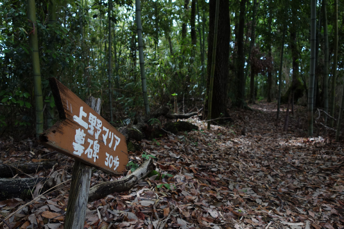 f:id:nonoty32a:20190624130653j:plain