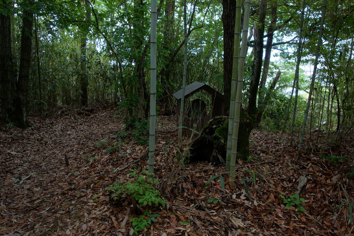 f:id:nonoty32a:20190624130942j:plain