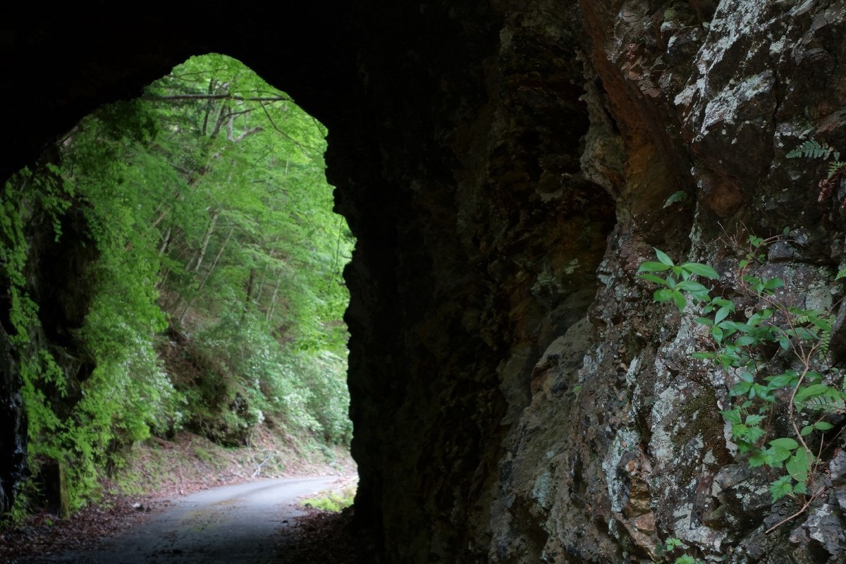 f:id:nonoty32a:20190704122937j:plain