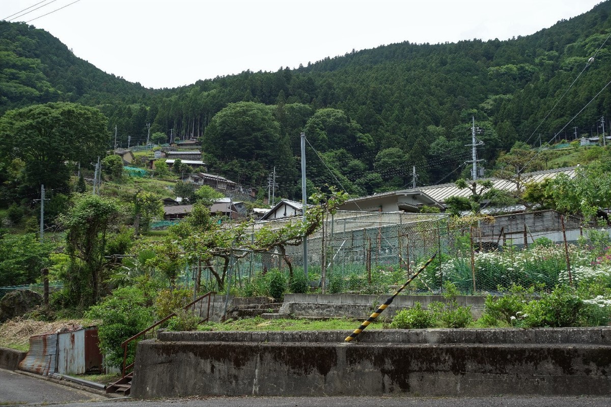 f:id:nonoty32a:20190704123428j:plain