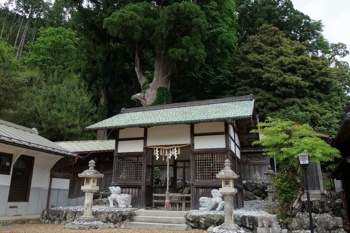 f:id:nonoty32a:20190704123722j:plain