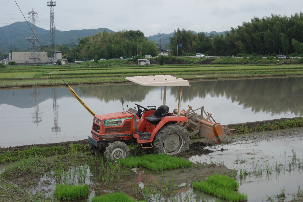 f:id:nonoty32a:20190708131036j:plain