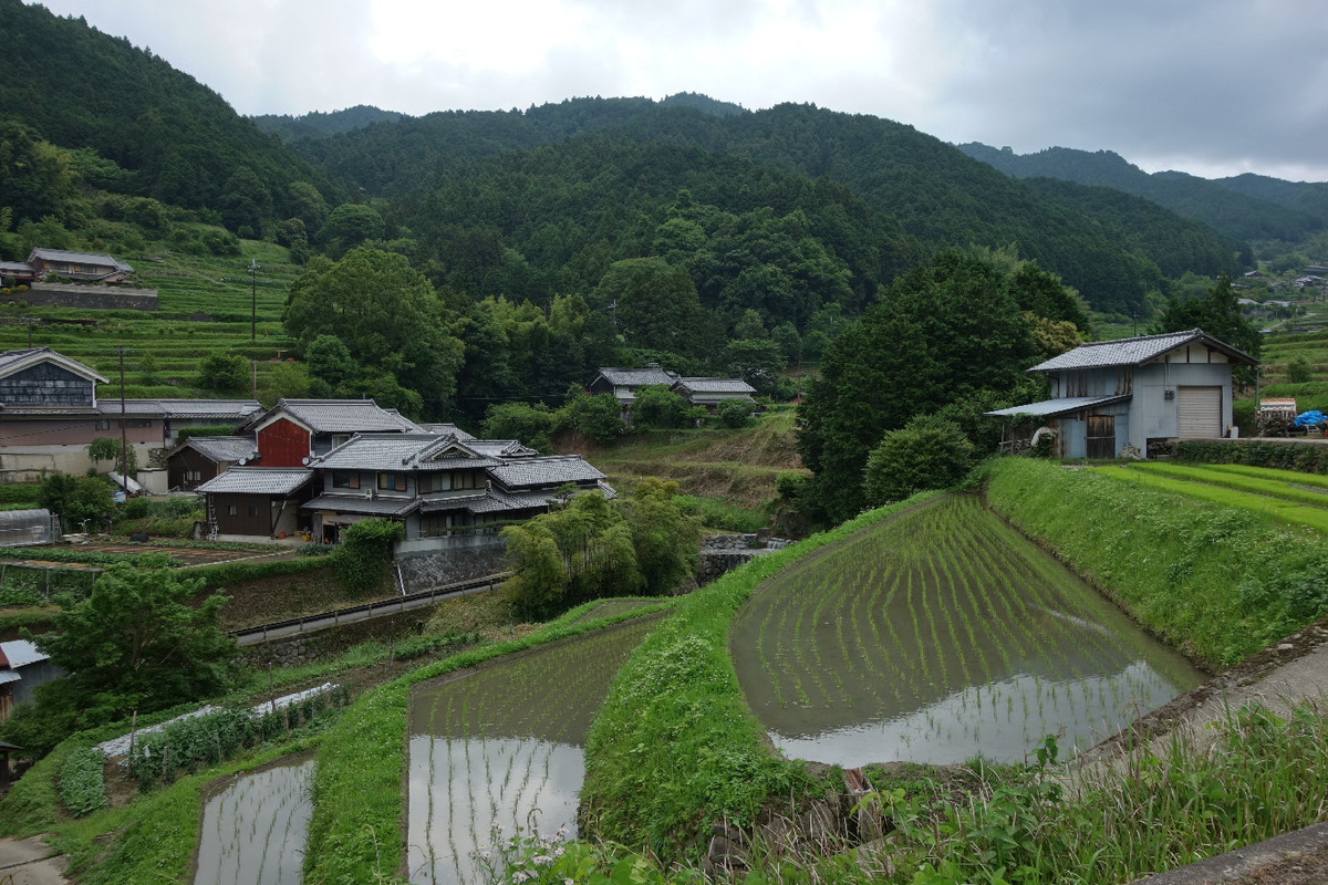 f:id:nonoty32a:20190708133340j:plain