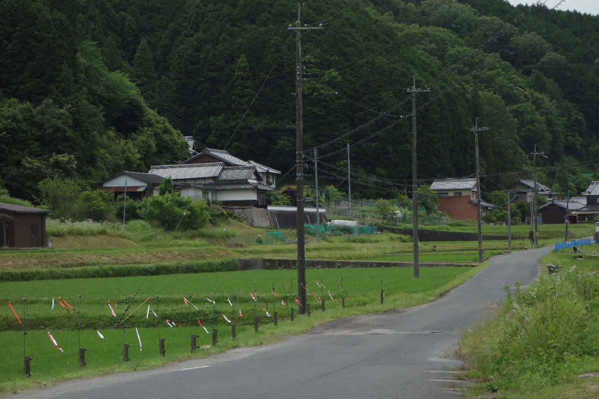 f:id:nonoty32a:20190709132541j:plain