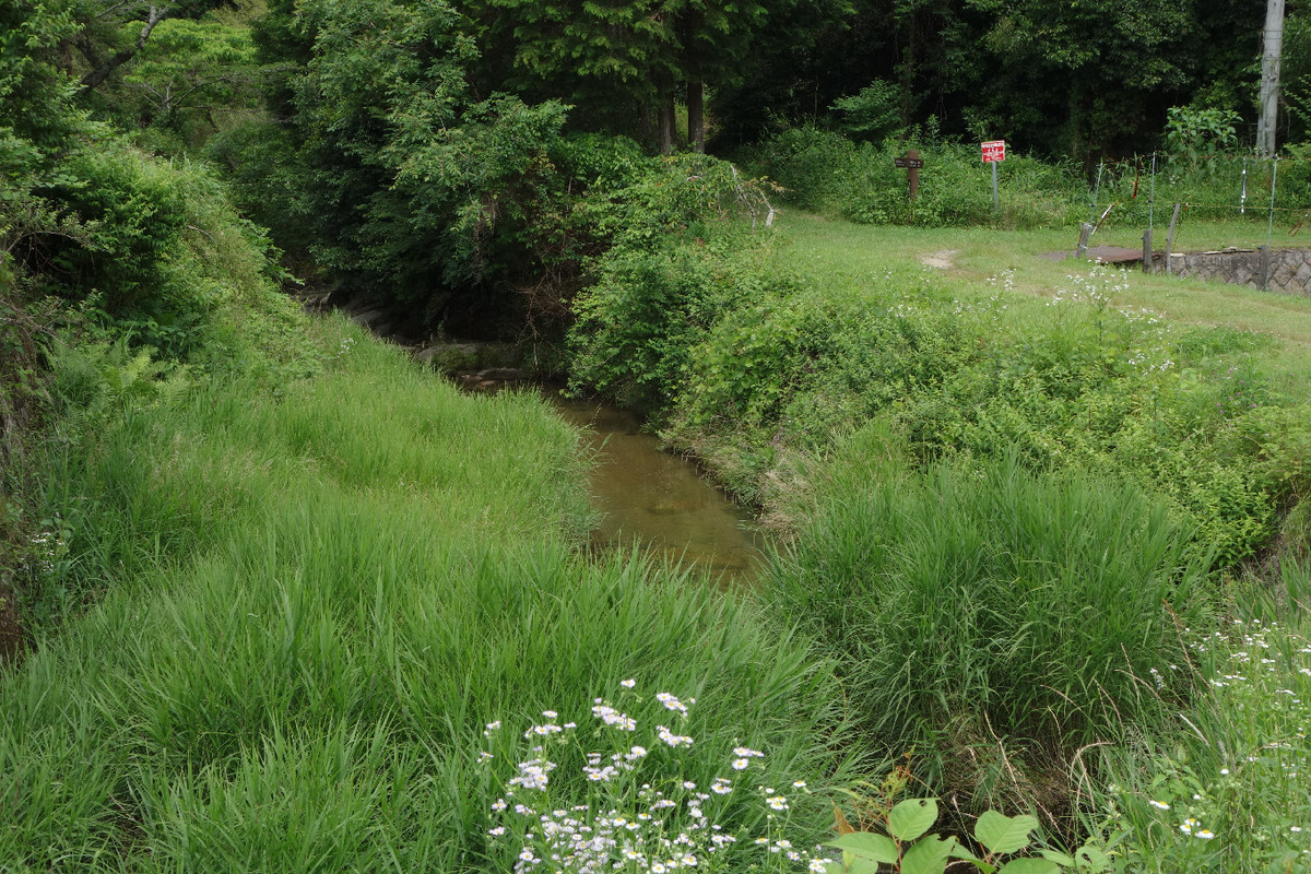 f:id:nonoty32a:20190709132623j:plain