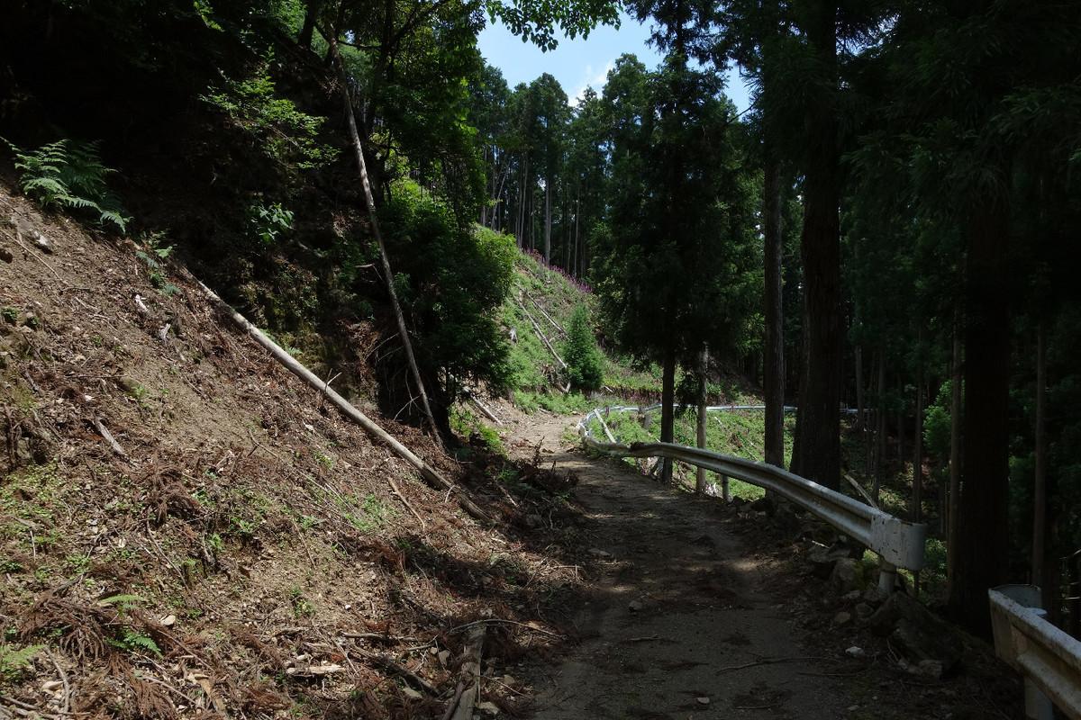 f:id:nonoty32a:20190722183212j:plain