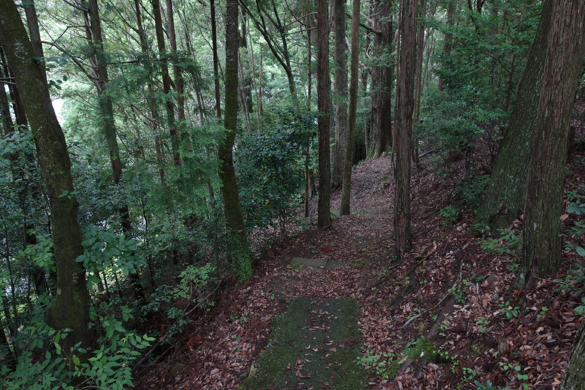 f:id:nonoty32a:20190815151703j:plain