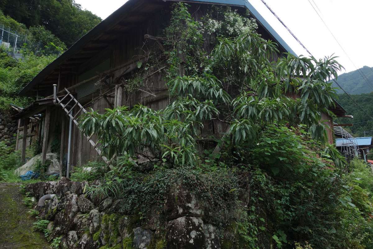 f:id:nonoty32a:20190907173557j:plain