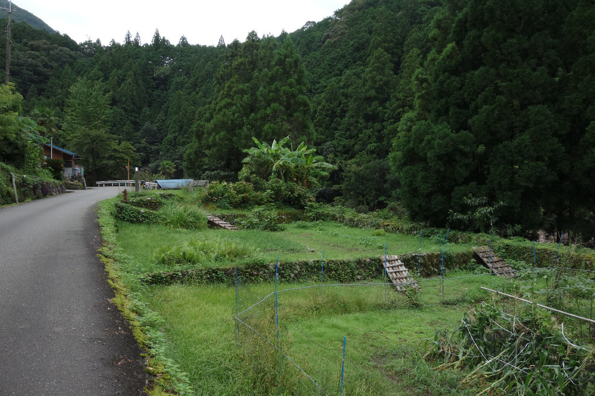 f:id:nonoty32a:20190907173740j:plain