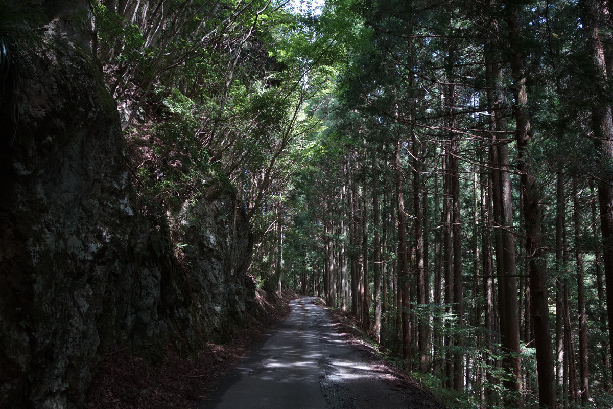 f:id:nonoty32a:20190923150939j:plain