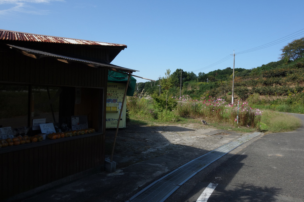 f:id:nonoty32a:20191029163512j:plain