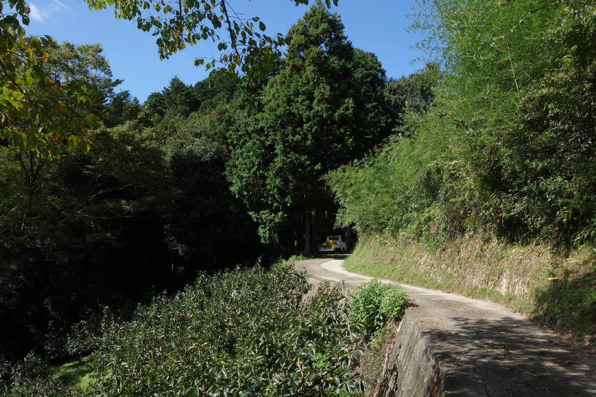 f:id:nonoty32a:20191029164606j:plain