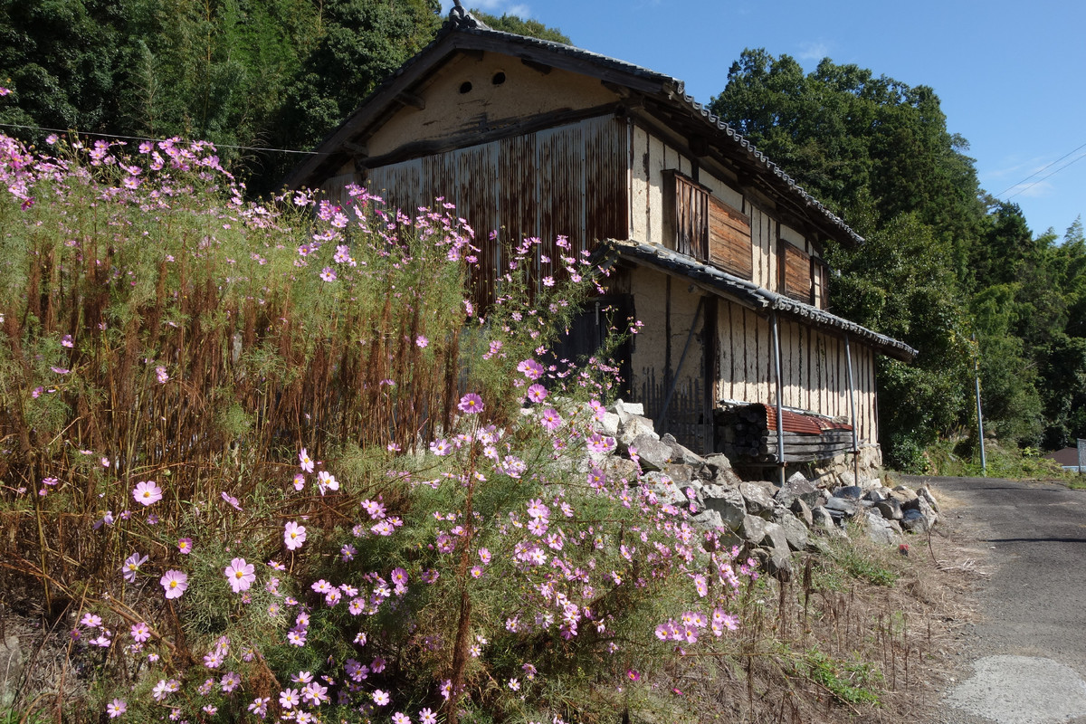 f:id:nonoty32a:20191101142546j:plain