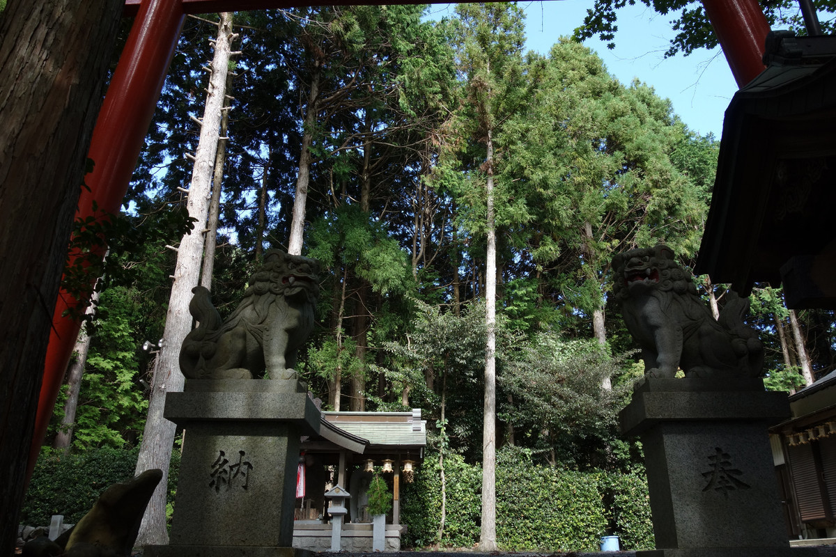 f:id:nonoty32a:20191101142958j:plain