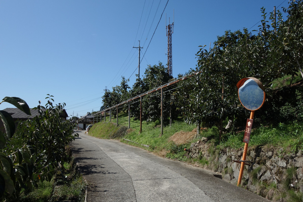 f:id:nonoty32a:20191101143305j:plain