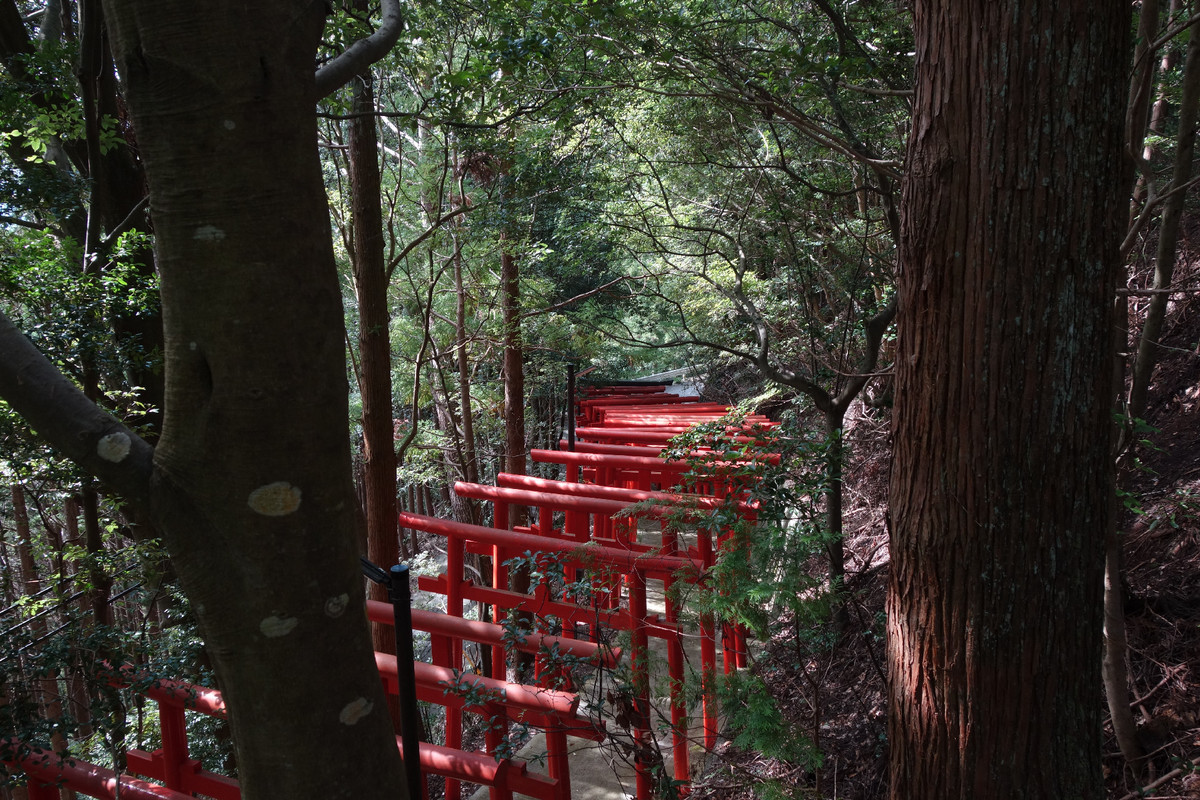 f:id:nonoty32a:20191101143702j:plain