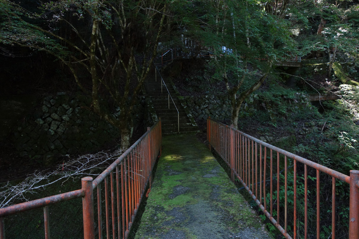 f:id:nonoty32a:20191104144531j:plain f:id:nonoty32a:20191104144531j:plain