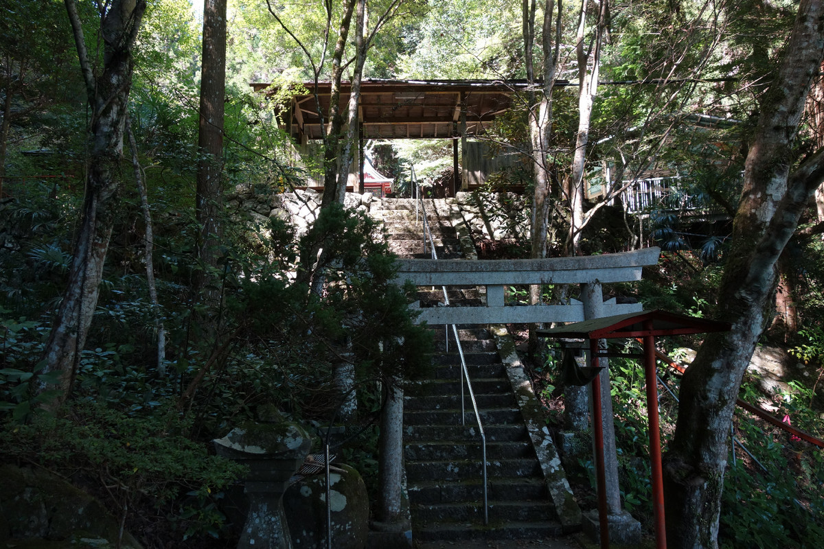 f:id:nonoty32a:20191104145818j:plain f:id:nonoty32a:20191104145818j:plain