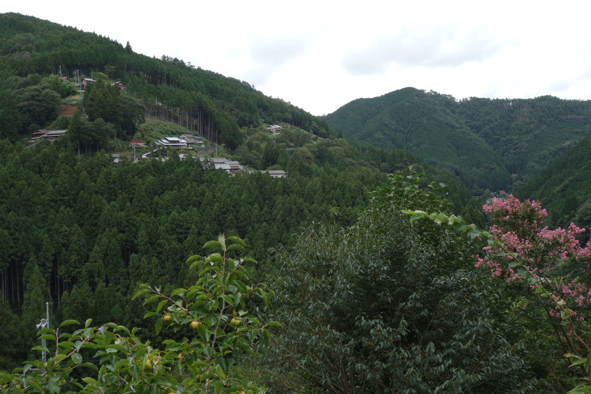 f:id:nonoty32a:20191126135108j:plain