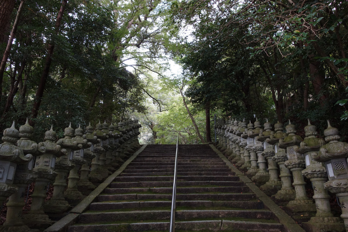 f:id:nonoty32a:20191202175942j:plain