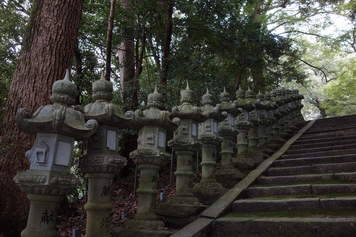 f:id:nonoty32a:20191202180121j:plain