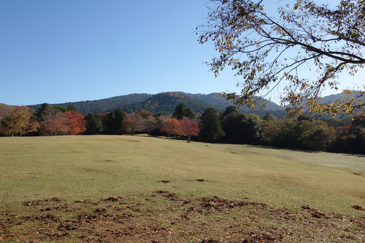 f:id:nonoty32a:20191206130607j:plain