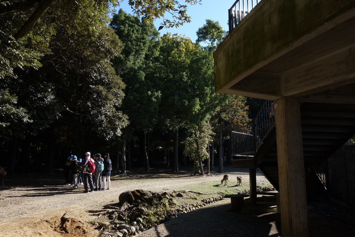 f:id:nonoty32a:20191206130921j:plain