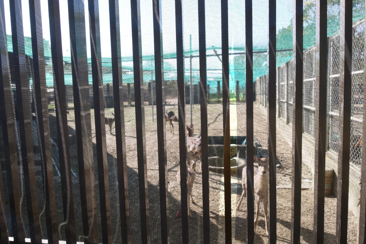 f:id:nonoty32a:20191206131009j:plain