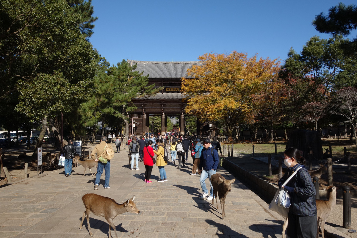 f:id:nonoty32a:20191207161212j:plain