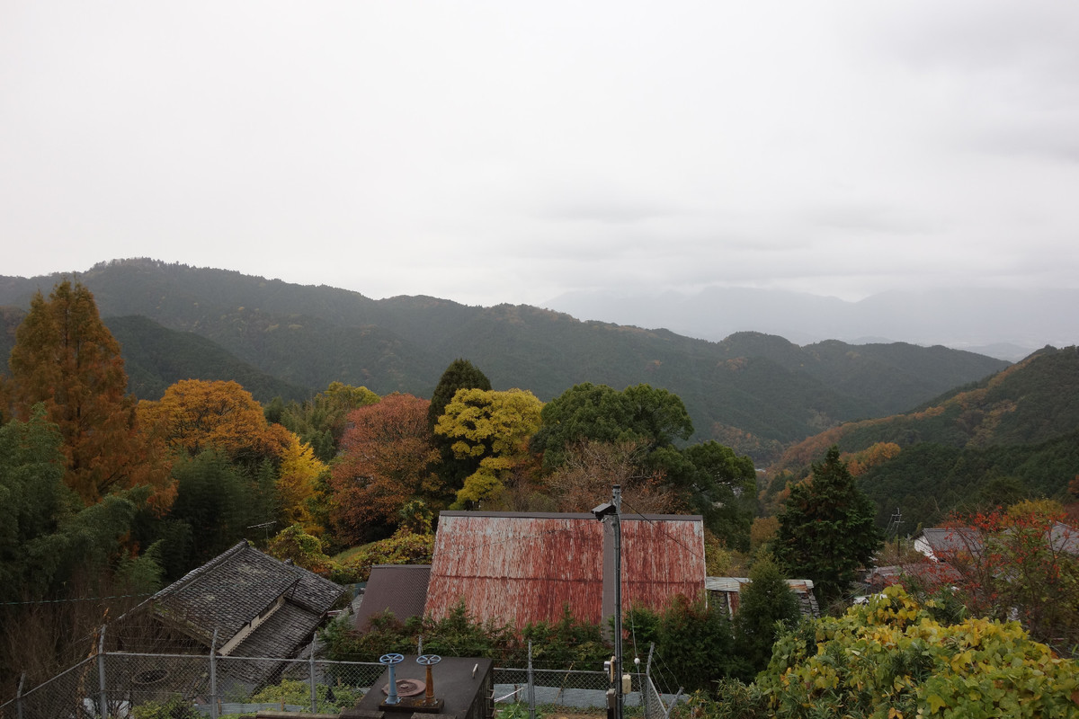 f:id:nonoty32a:20191215150750j:plain