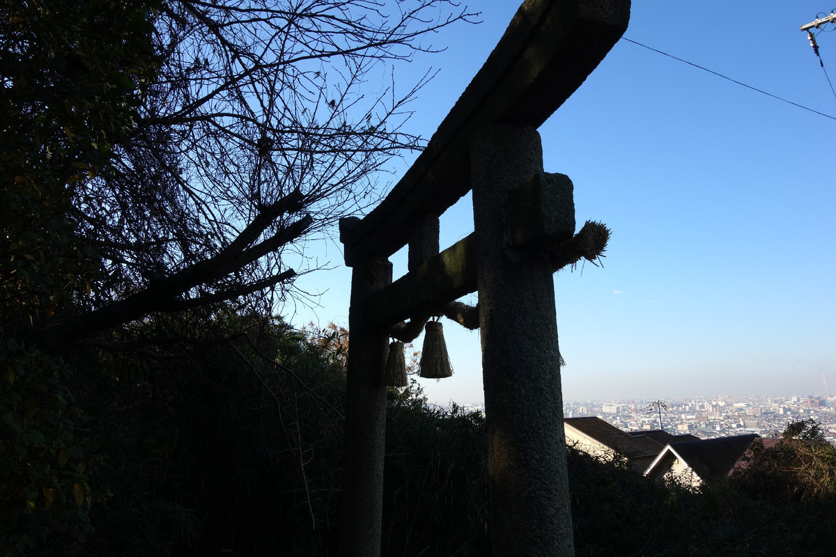 f:id:nonoty32a:20200121172556j:plain