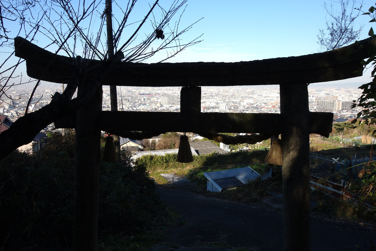 f:id:nonoty32a:20200121172711j:plain