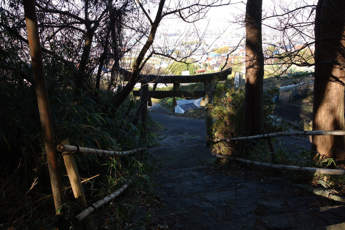 f:id:nonoty32a:20200121172917j:plain