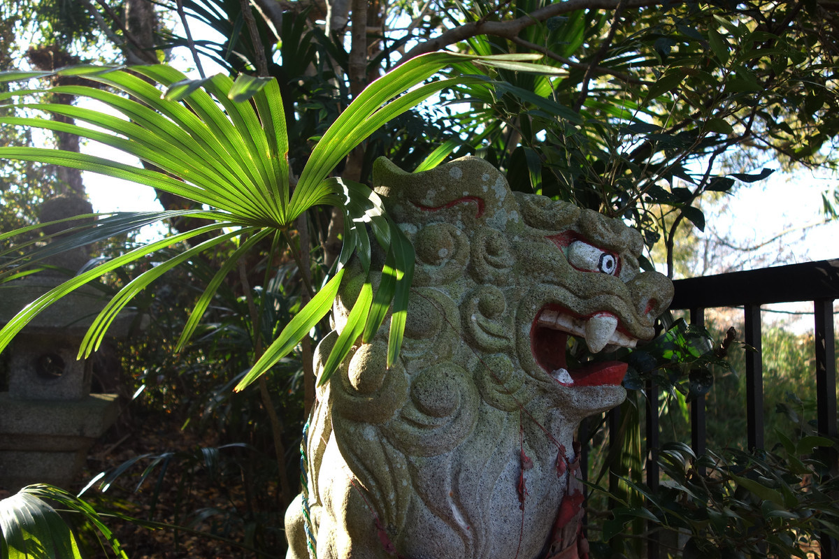 f:id:nonoty32a:20200121173018j:plain