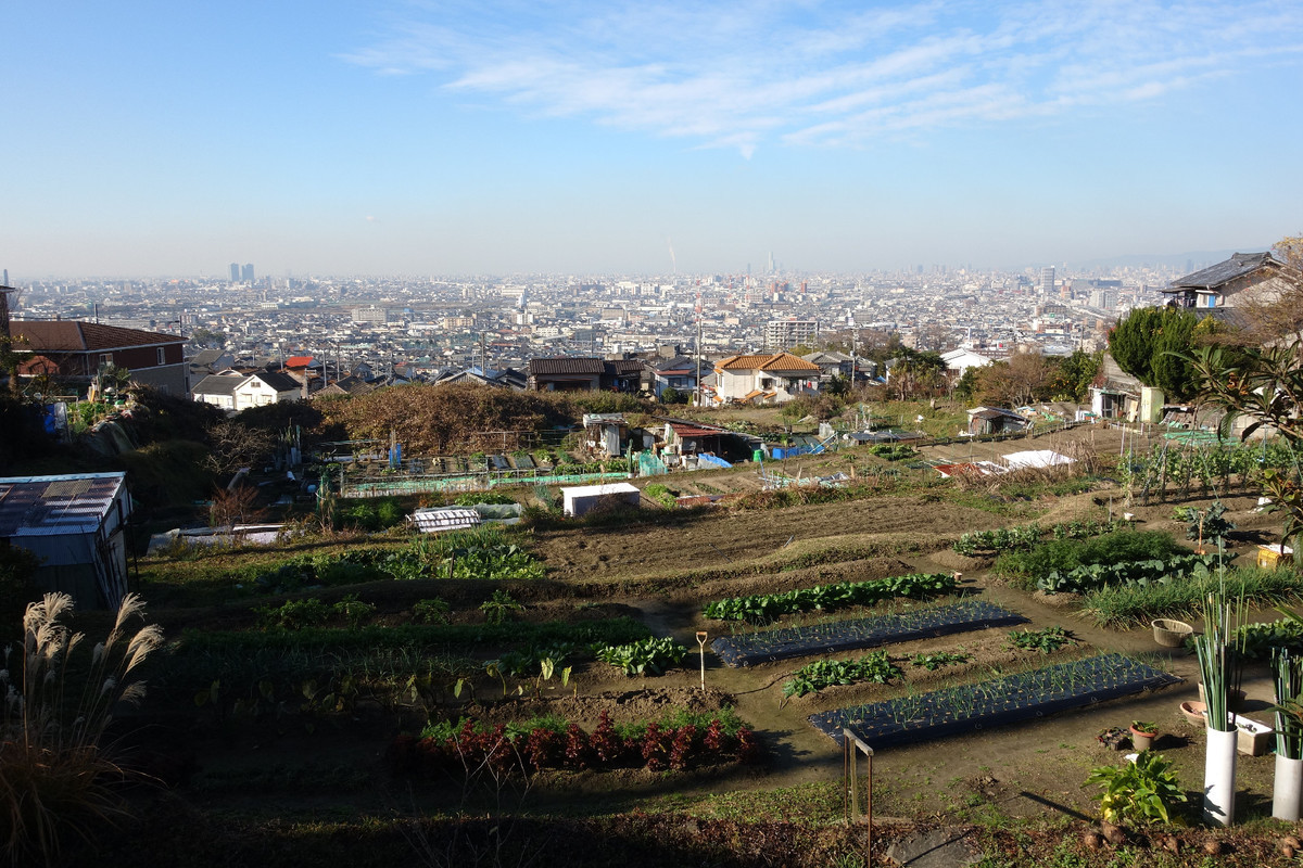 f:id:nonoty32a:20200121173119j:plain