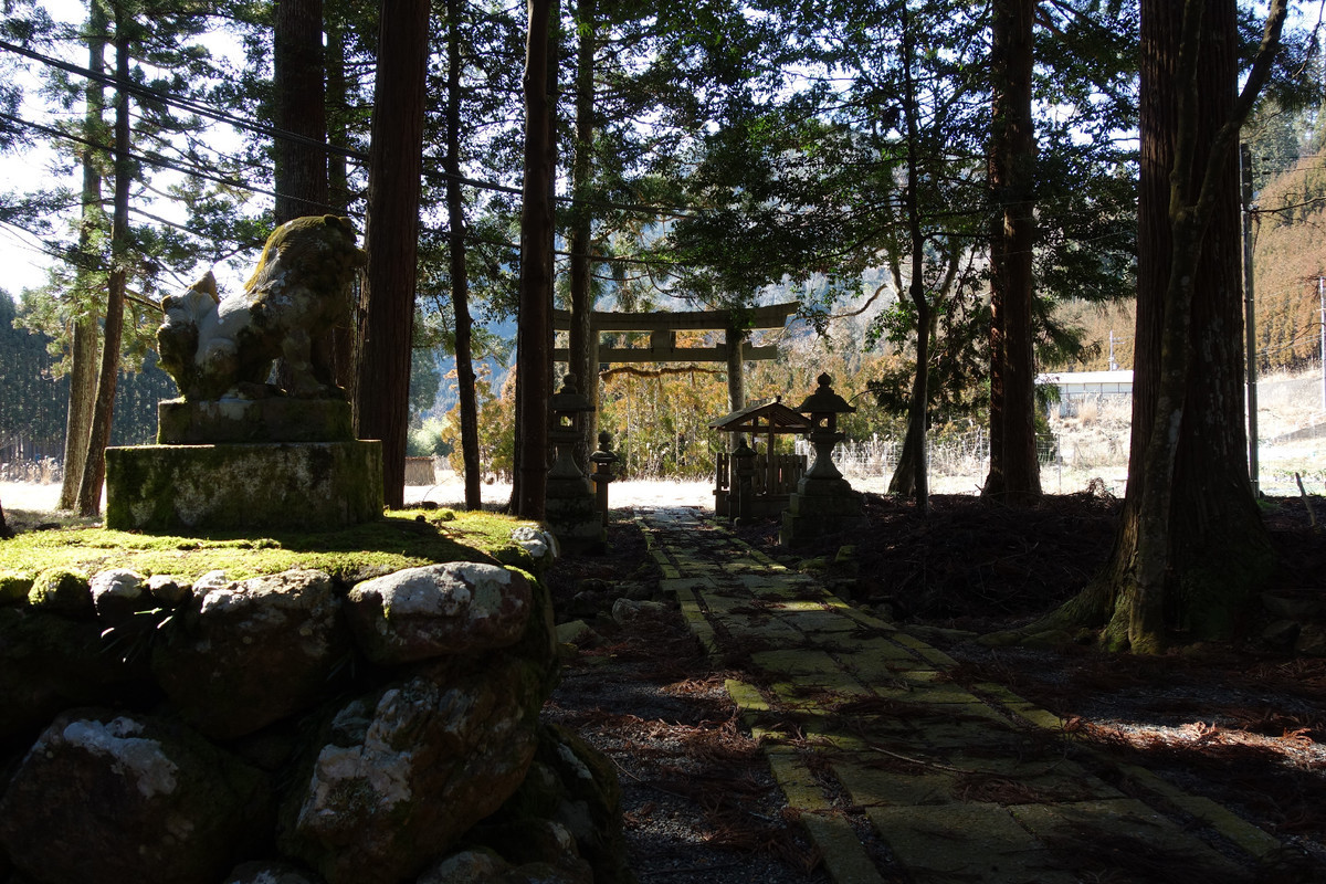 f:id:nonoty32a:20200316123613j:plain