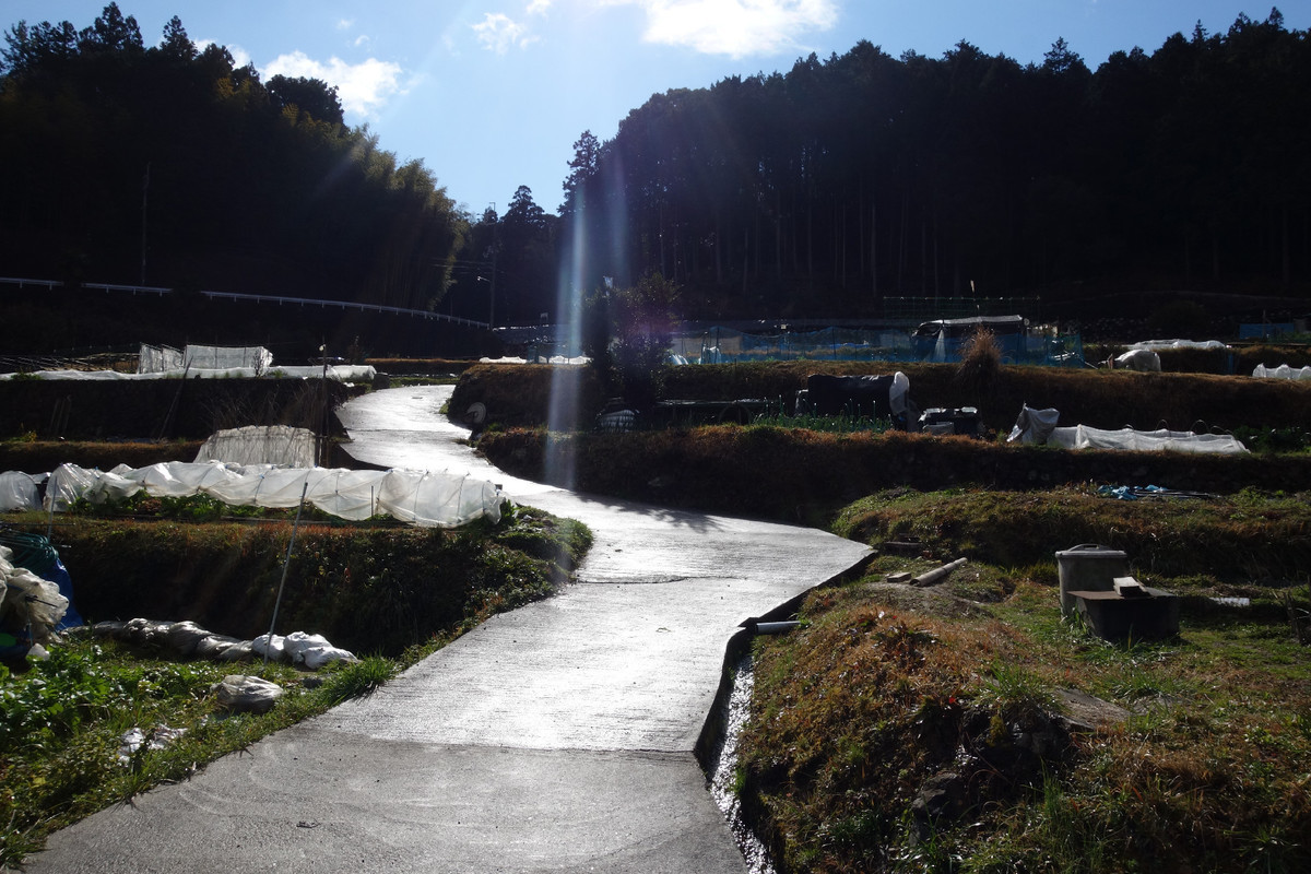 f:id:nonoty32a:20200316124255j:plain