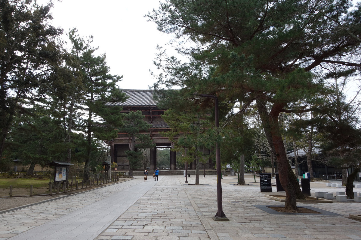 f:id:nonoty32a:20200323134346j:plain