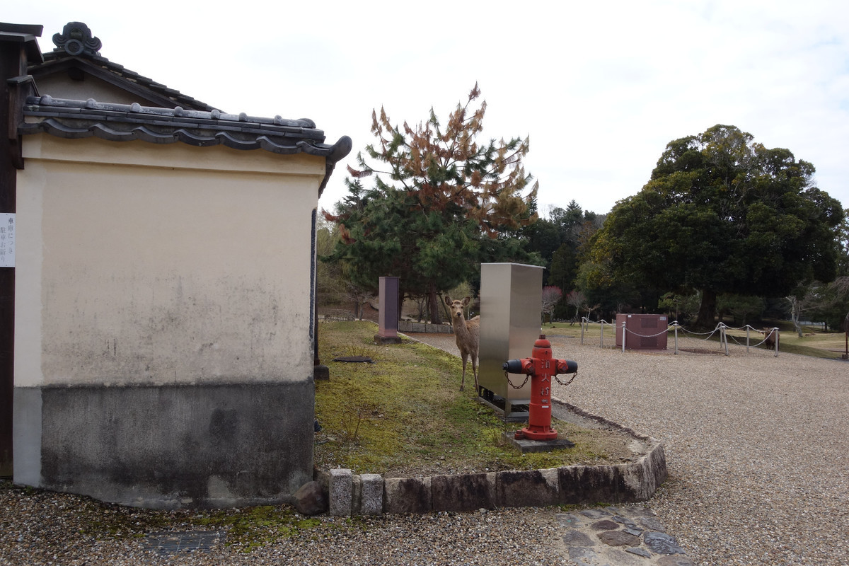 f:id:nonoty32a:20200323134518j:plain