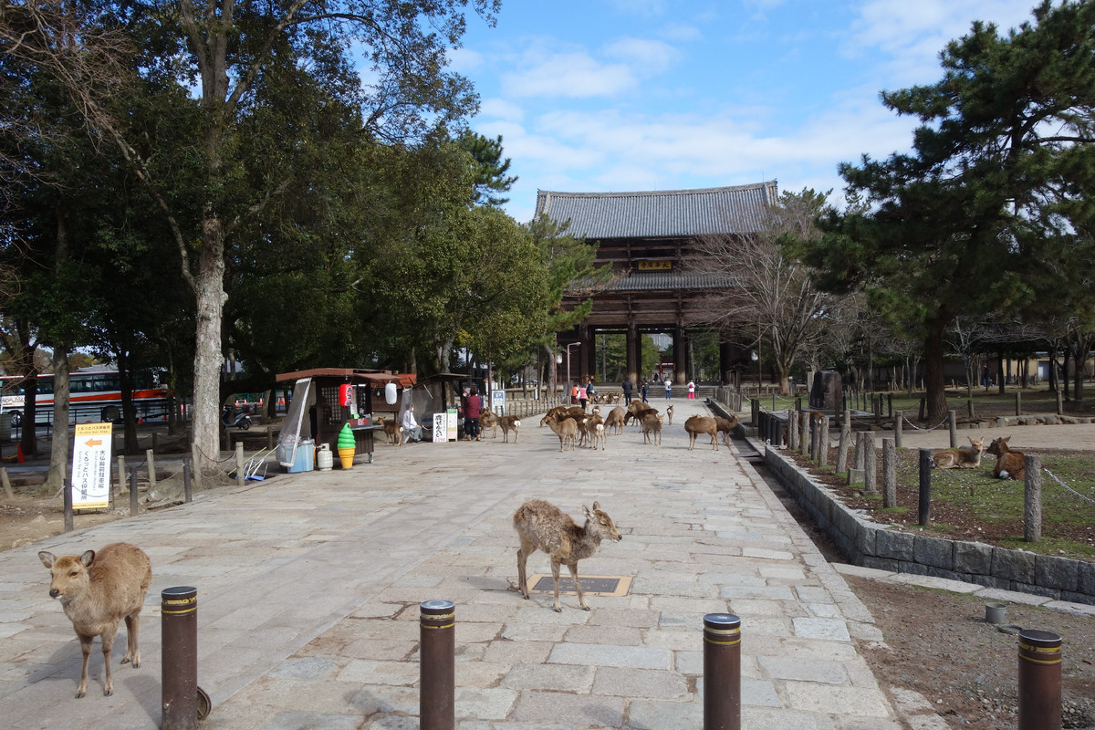 f:id:nonoty32a:20200323135043j:plain