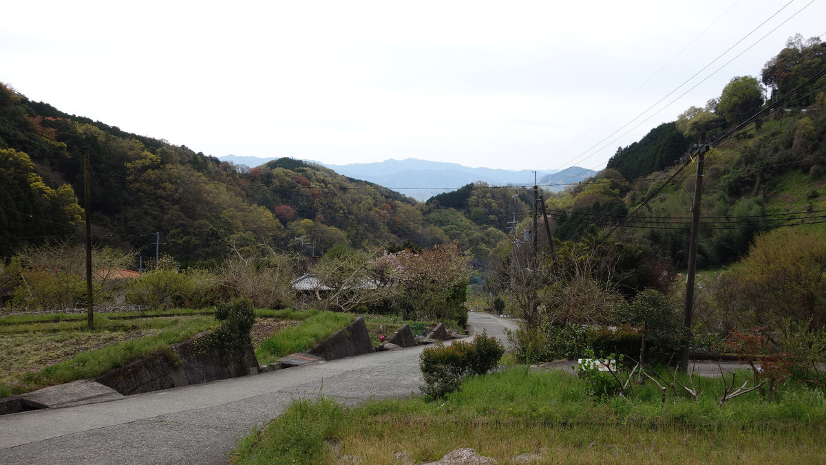 f:id:nonoty32a:20200503221913j:plain