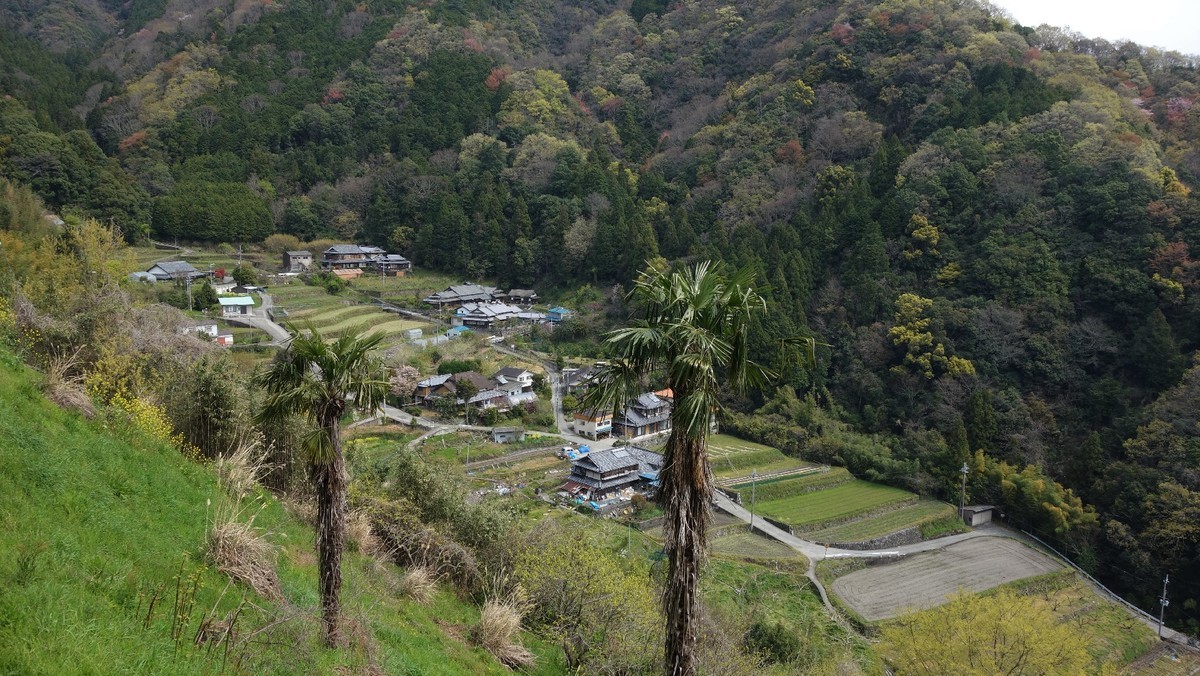 f:id:nonoty32a:20200503221943j:plain