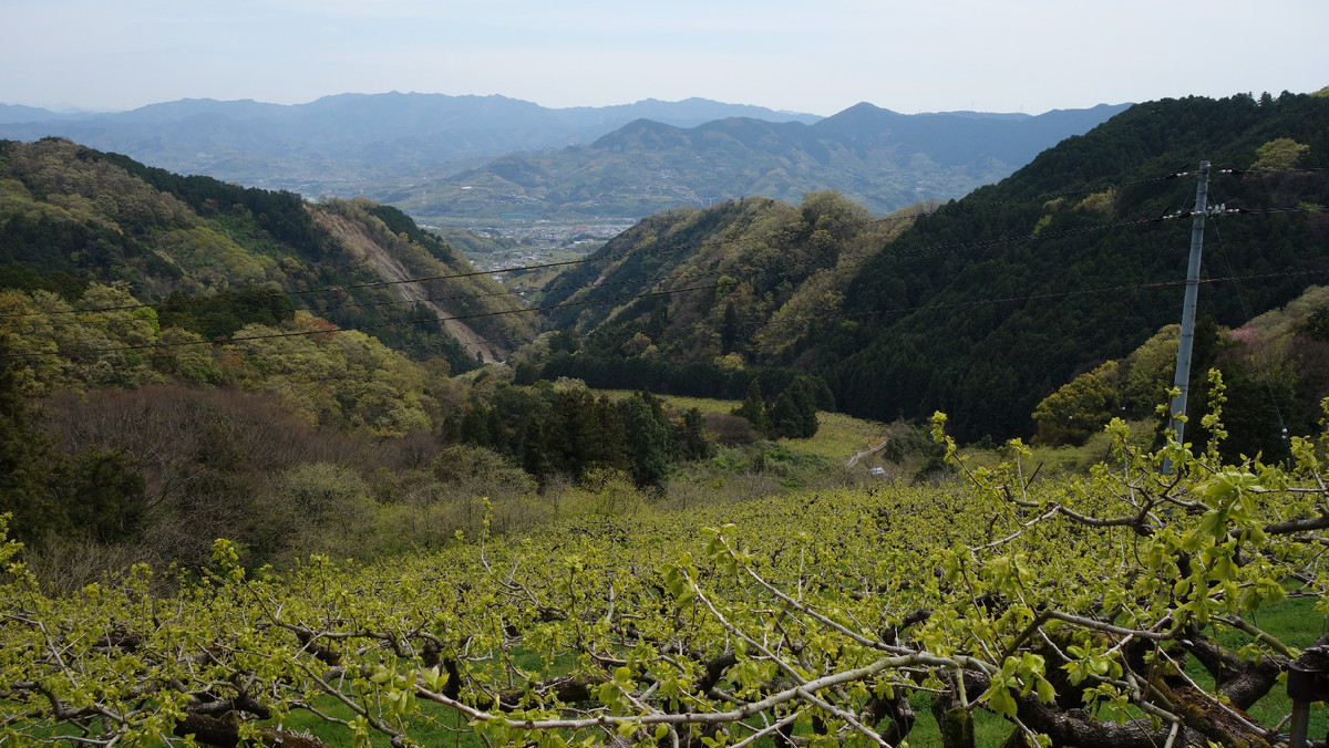 f:id:nonoty32a:20200503222242j:plain