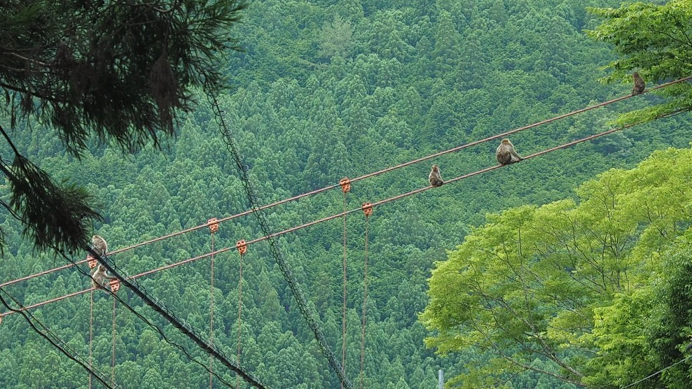 f:id:nonoty32a:20210712110147j:plain