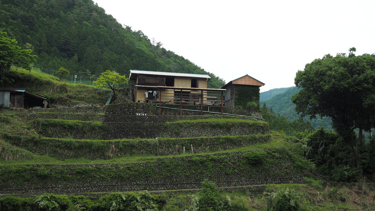 f:id:nonoty32a:20210712110334j:plain