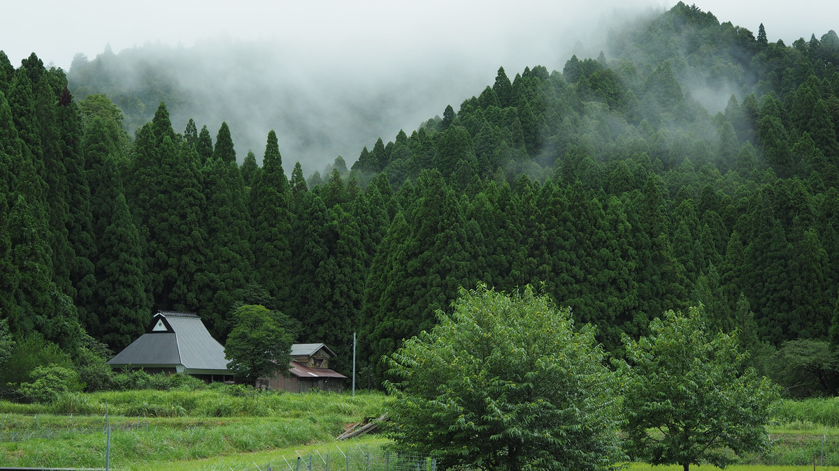 f:id:nonoty32a:20210904230419j:plain