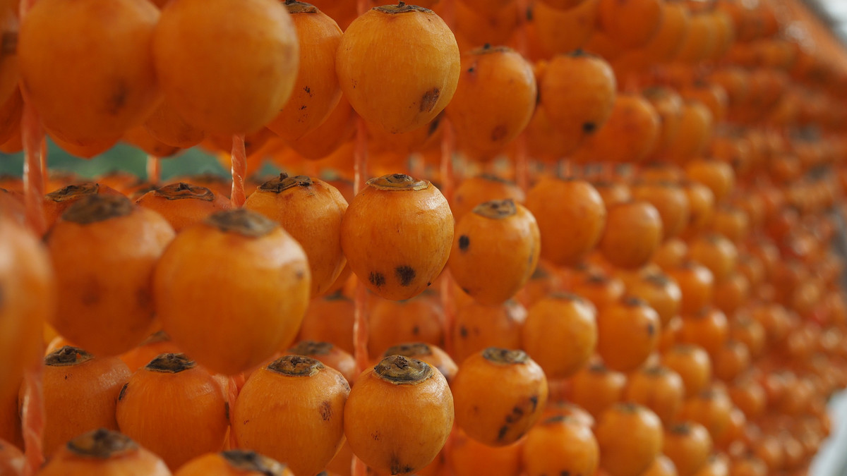 f:id:nonoty32a:20211114101714j:plain