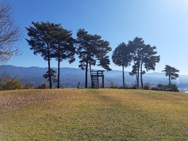f:id:nonousagi:20190310151428j:image f:id:nonousagi:20190310151428j:image
